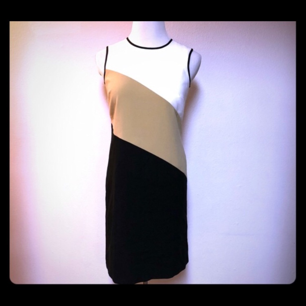 Ann Taylor Dress Size 4